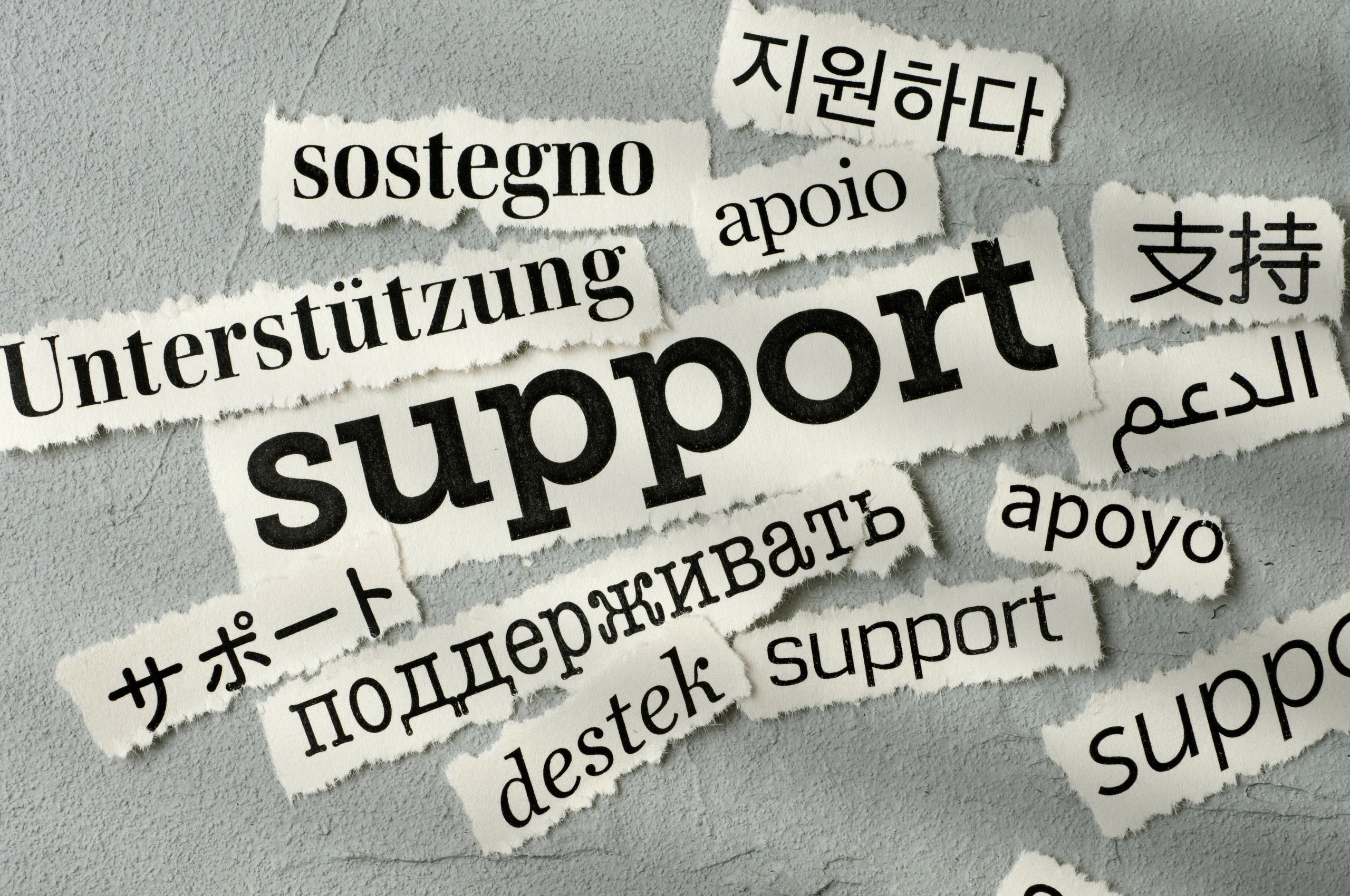 nonprofit international support sponsorship