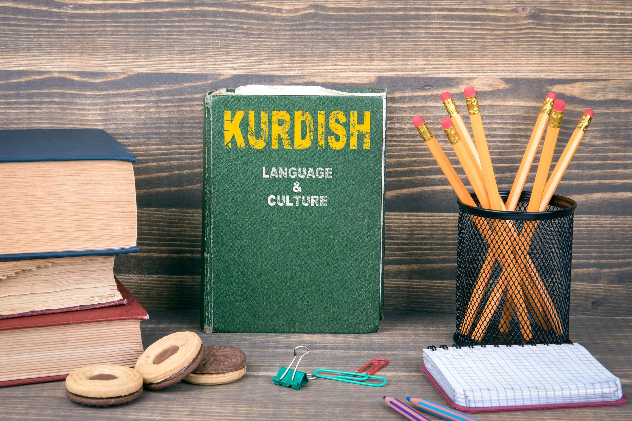 Kurdish culture education